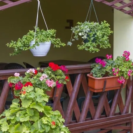 Guest house Family Nest